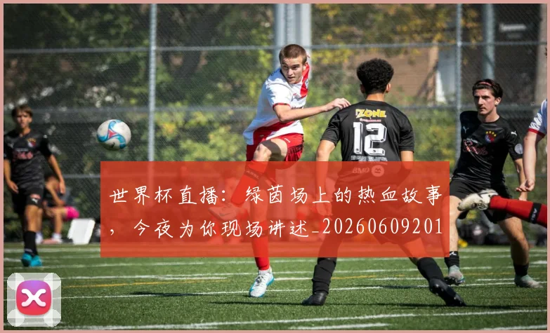 世界杯直播:绿茵场上的热血故事,今夜为你现场讲述_20260609201326