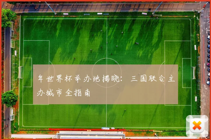 年世界杯举办地揭晓:三国联合主办城市全指南