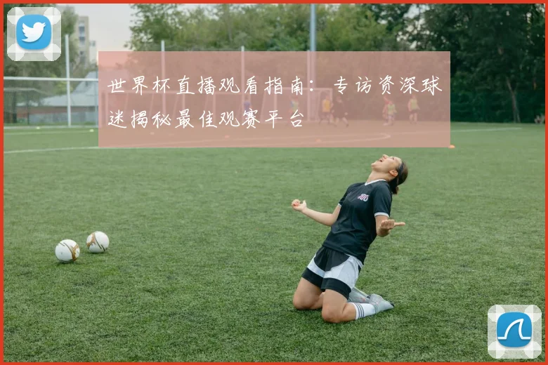 世界杯直播观看指南：专访资深球迷揭秘最佳观赛平台