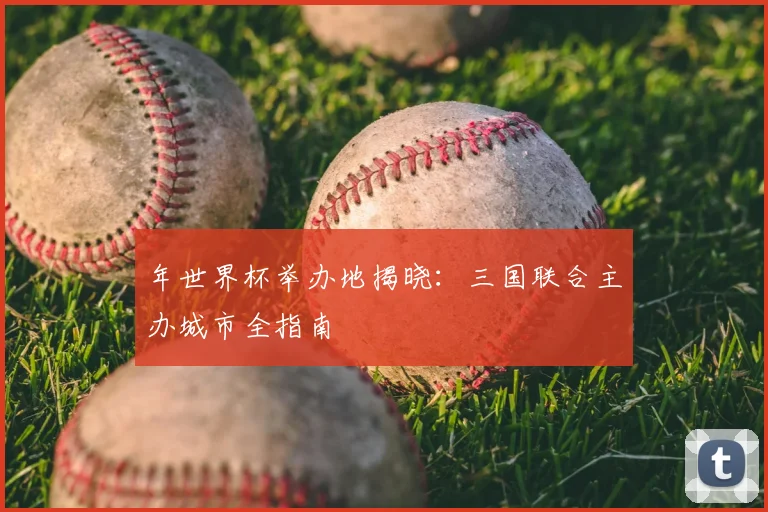 年世界杯举办地揭晓:三国联合主办城市全指南